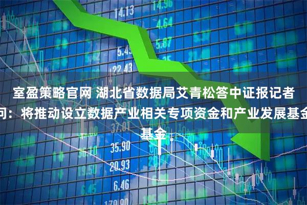 室盈策略官网 湖北省数据局艾青松答中证报记者问：将推动设立数据产业相关专项资金和产业发展基金