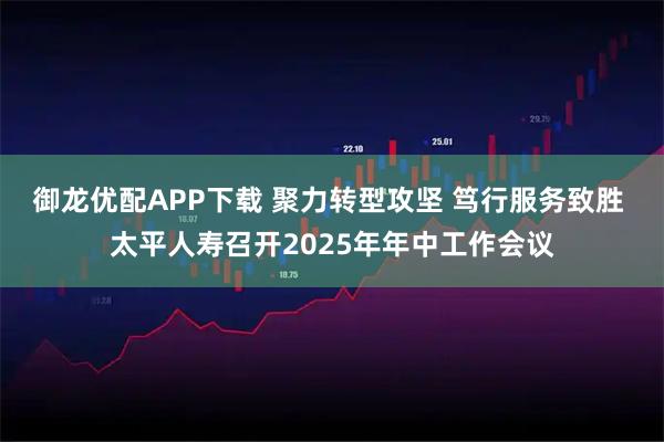 御龙优配APP下载 聚力转型攻坚 笃行服务致胜 太平人寿召开2025年年中工作会议