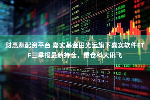财惠赚配资平台 嘉实基金田光远旗下嘉实软件ETF三季报最新持仓，重仓科大讯飞