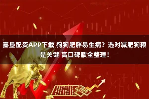 嘉垦配资APP下载 狗狗肥胖易生病？选对减肥狗粮是关键 高口碑款全整理！