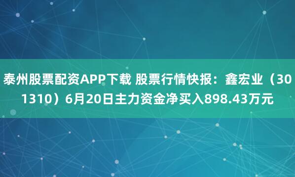 泰州股票配资APP下载 股票行情快报：鑫宏业（301310）6月20日主力资金净买入898.43万元