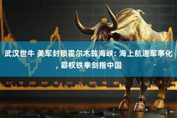 武汉世牛 美军封锁霍尔木兹海峡: 海上航道军事化, 霸权铁拳剑指中国